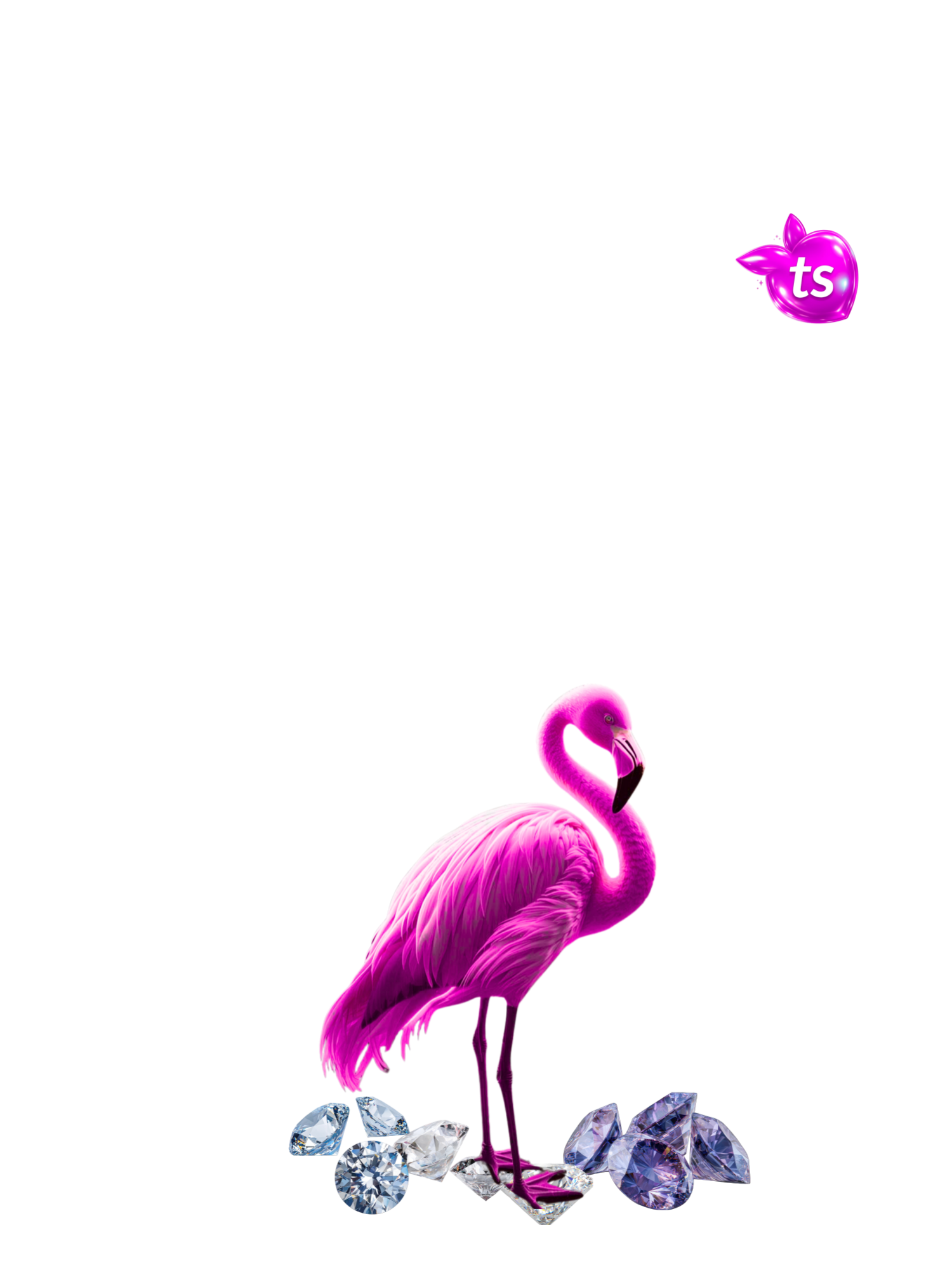 tsgabrielle® • For Him • Flamant Rose  • Oversized High Neck T-Shirt • Black • Organic Cotton