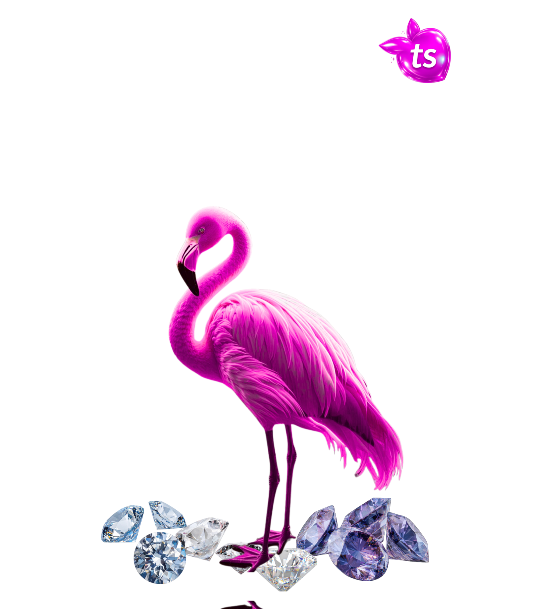 tsgabrielle® • For Her • Flamant Rose • Garment-Dyed Tank Top • Black